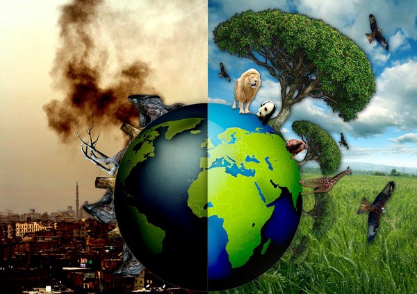 Ô nhiễm môi trường | Nguyên nhân và biện pháp khắc phục